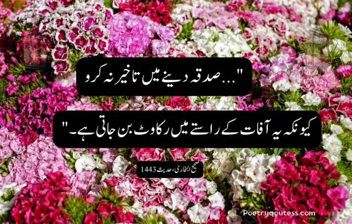 Touching Love Quotes in Urdu and English Touching Love Quotes in Urdu and English